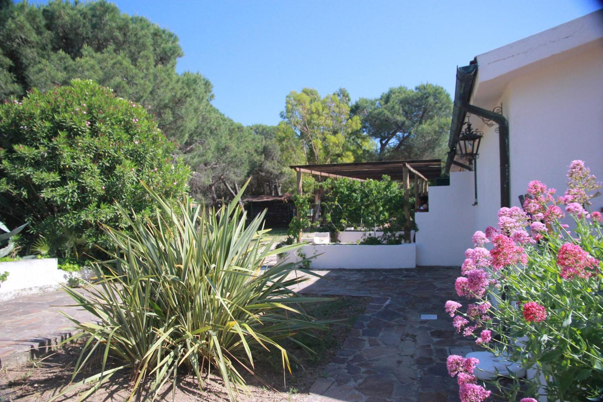 Azienda Agricola Sapereta Porto Azzurro Exteriör bild